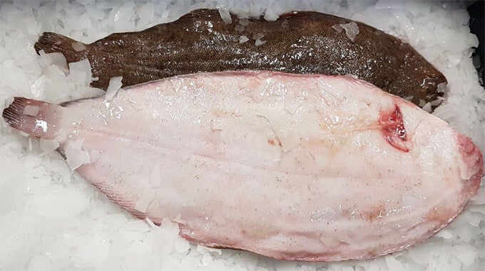 Verse Tong – Maat I 1kg art:673