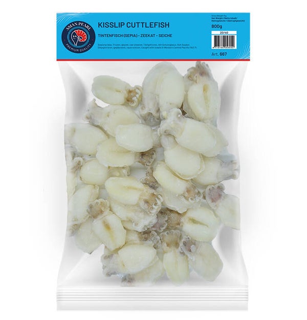 Sepia 20/40 10KG  Art: 667