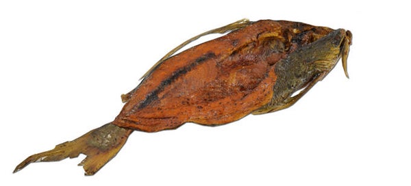 Barbaman 200/600 G 5kg