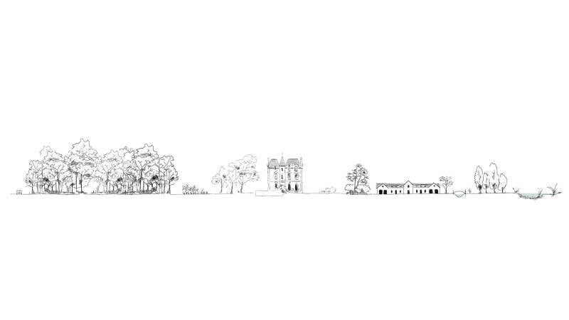 coupe-paysage-def-copie-standard.jpg
