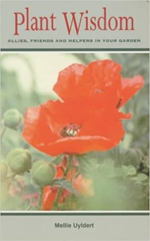 plantwisdomfront.jpg