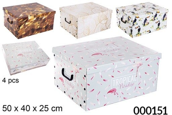 CAJA CARTON MONTABLE ASAS (4)