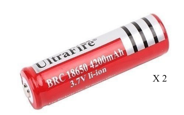 BATERIA RAPTOR 2ud BLISTER