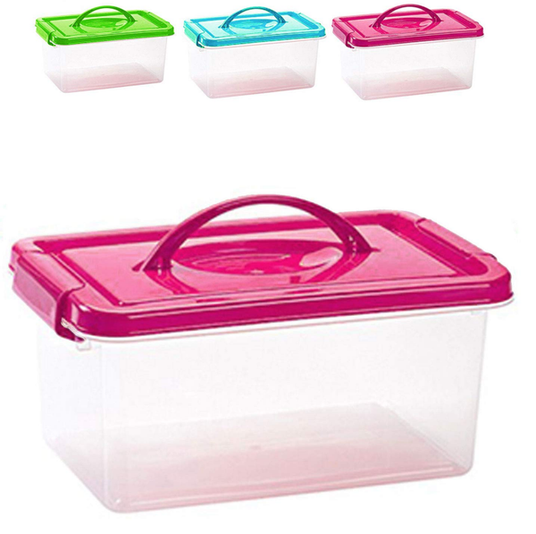 CAJA PLASTICO MINIBOX ASA 4litros (12)