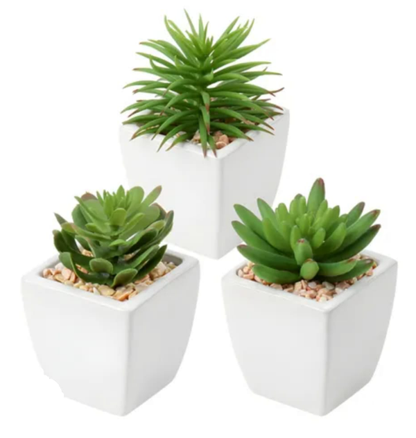 MACETA CERAMICA SUCULENTAS 11cm
