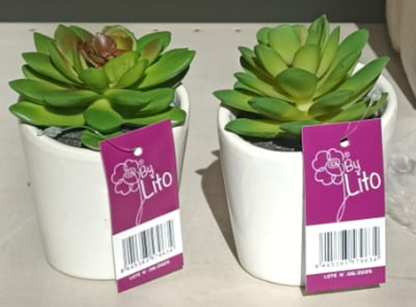 MACETA CERAMICA SUCULENTAS 9cm