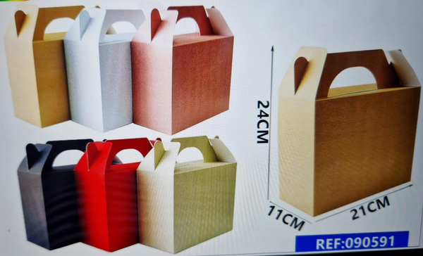 CAJA CARTON MONTABLE 6SURTIDAS 24x21cm (12)