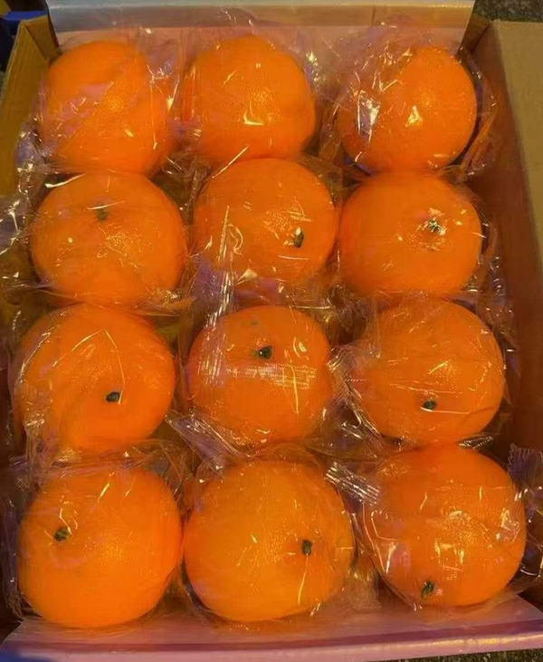SQUISHY NARANJA EXPOSITOR (12)