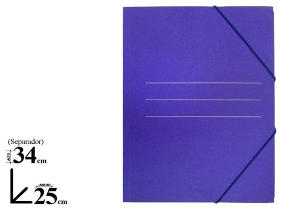 CARPETA CARTON AZUL FOLIO 3SOLAPAS (20)