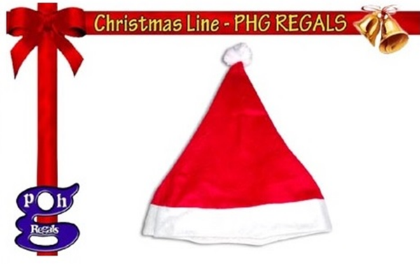 GORRO PAPA NOEL ADULTO (12)