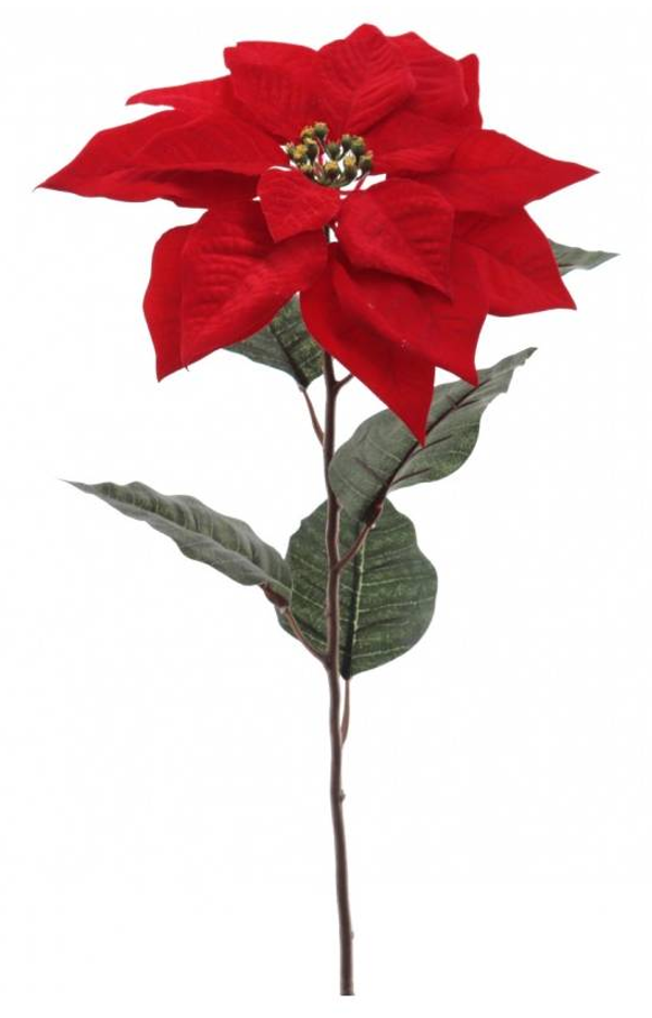 VARA FLOR PONSETIA ROJA (12)