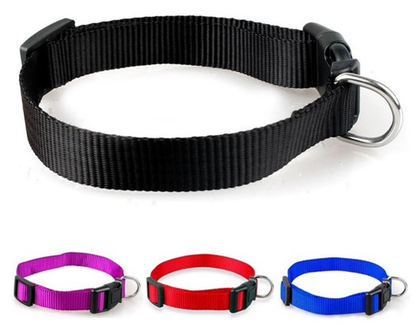 COLLAR PERROS GRANDES