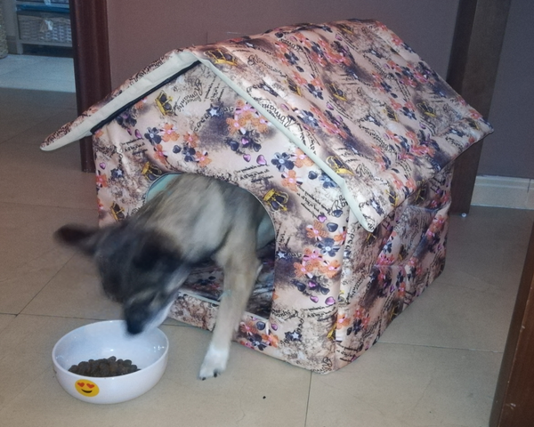 CASETA ACOLCHADA PARA MASCOTA