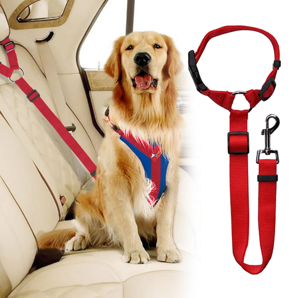 ARNES PARA COCHE MASCOTAS
