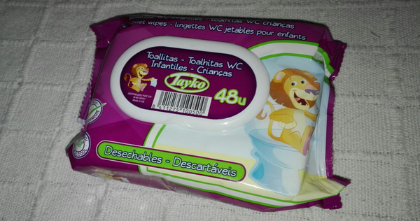 TOALLITAS WC DESECHABLES 48ud TAPA (24)