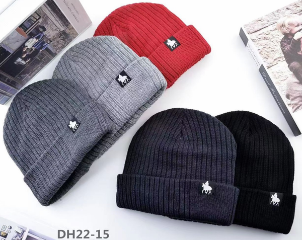 GORRO THINSULATE ADULTO (12)