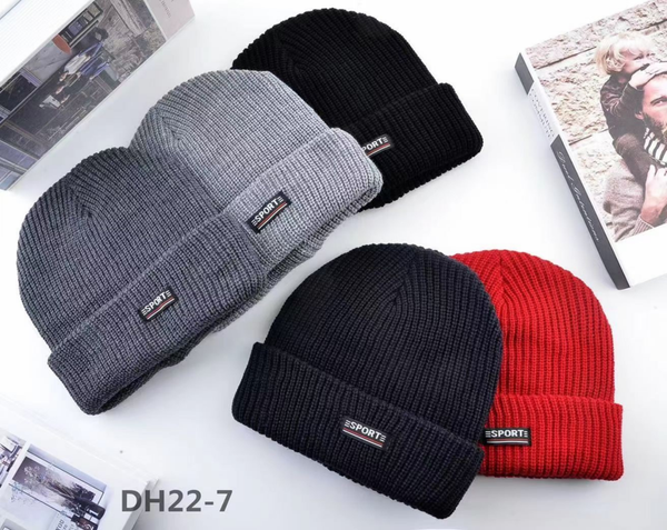 GORRO THINSULATE ADULTO (12)