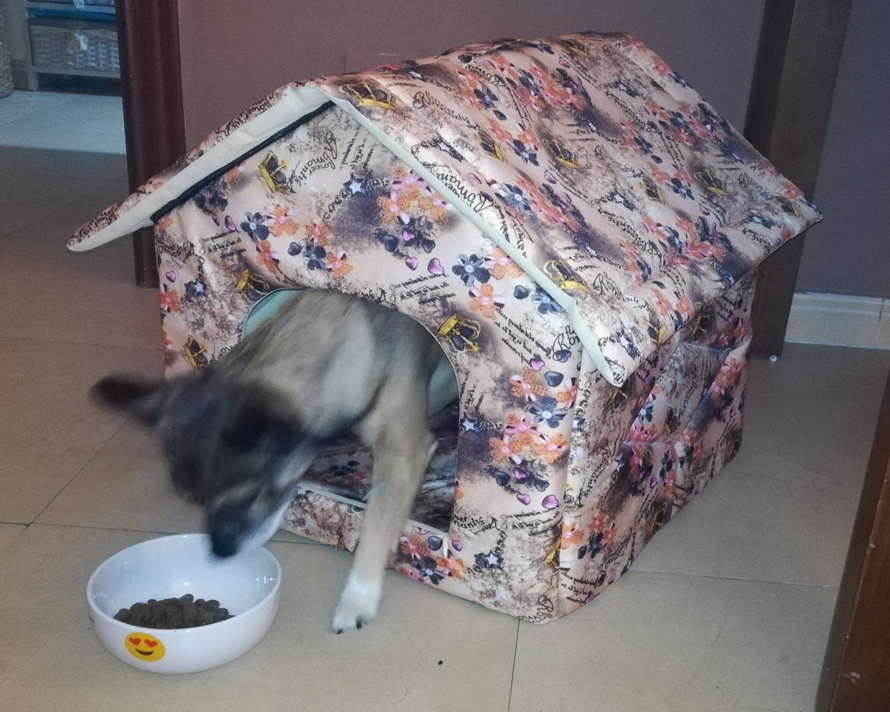 CASETA ACOLCHADA PARA MASCOTA
