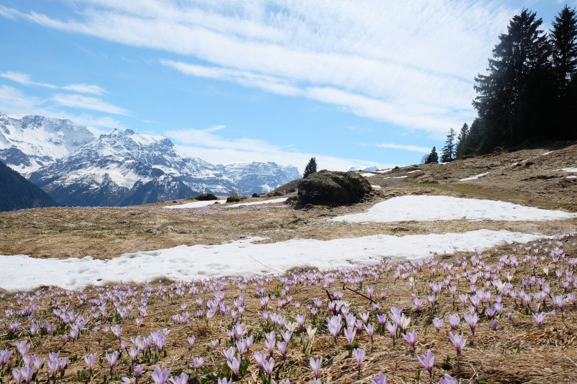 Robert Buchli GmbH - Angebot - Leadership kompakt