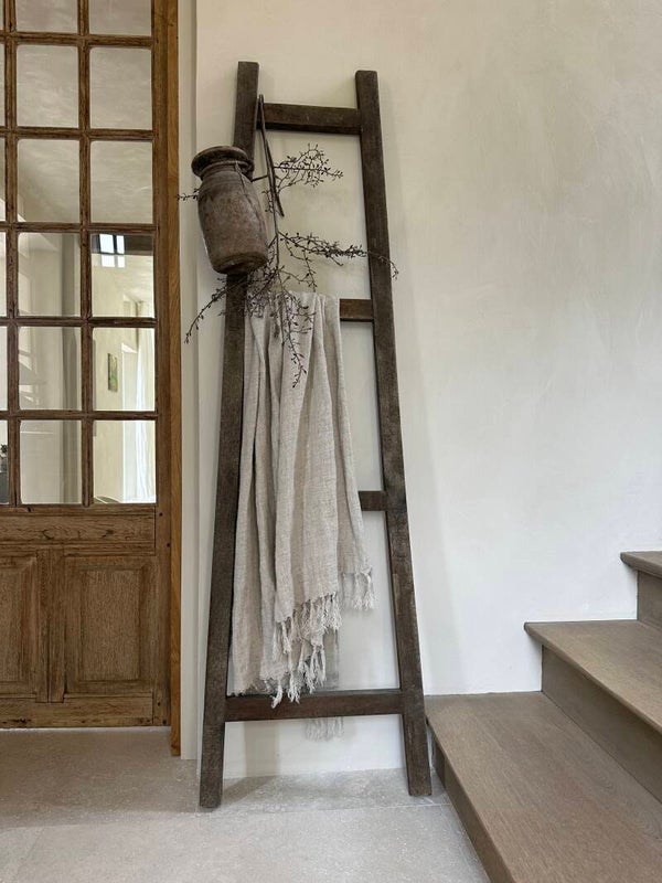 Aura Peeperkorn ladder