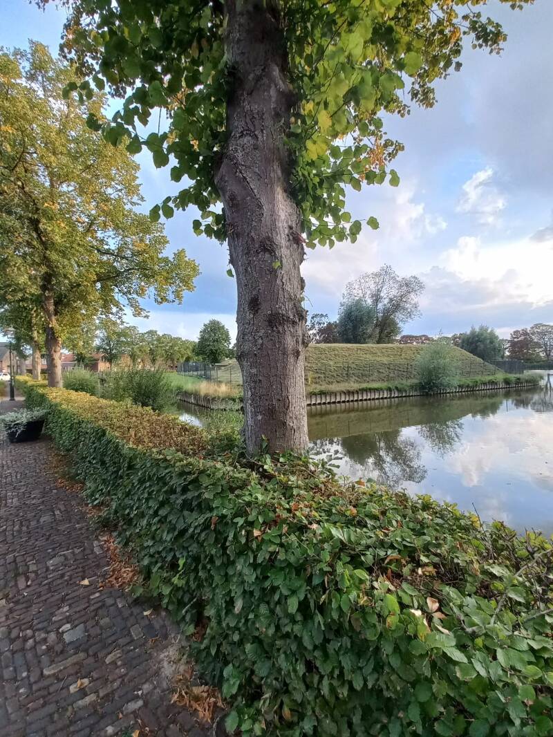 foto-2de-prijs-standard.jpg