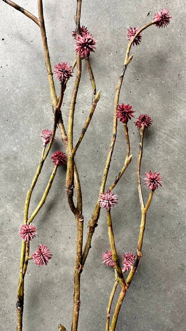 Kunsttak met roze knopen