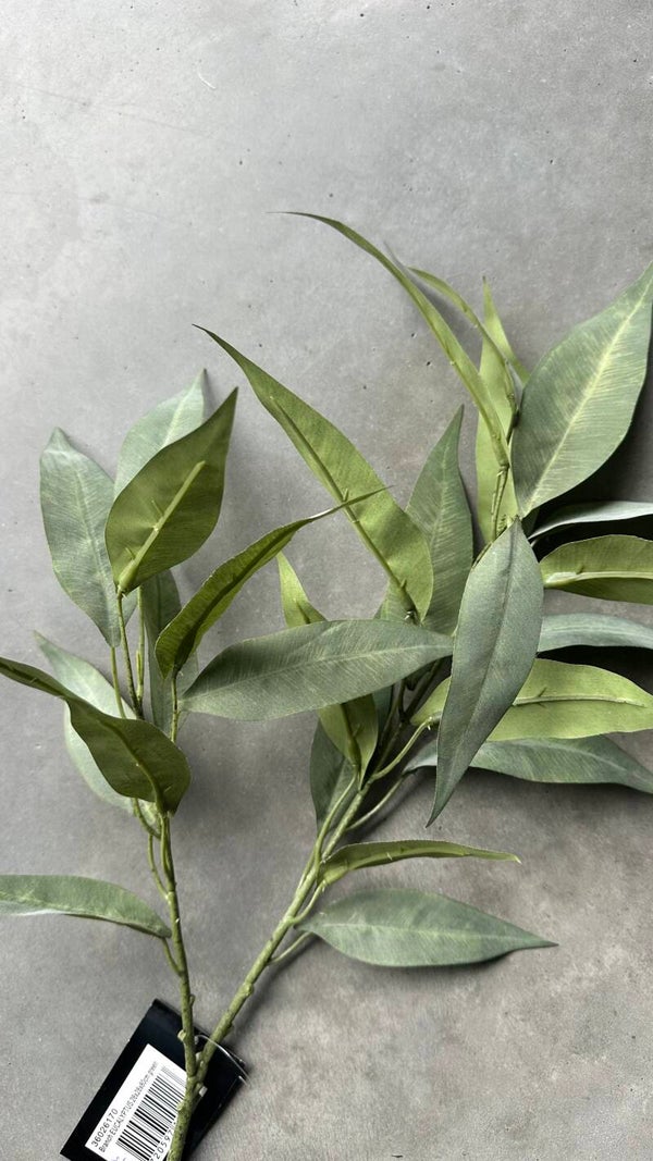 Eucalyptus kunsttak