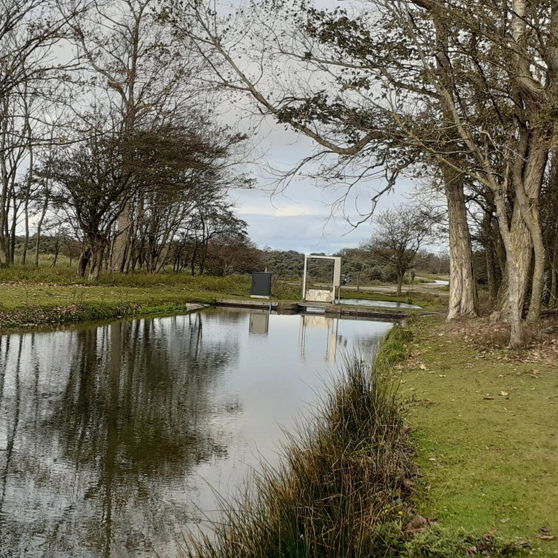 20201018_102829-standard.jpg