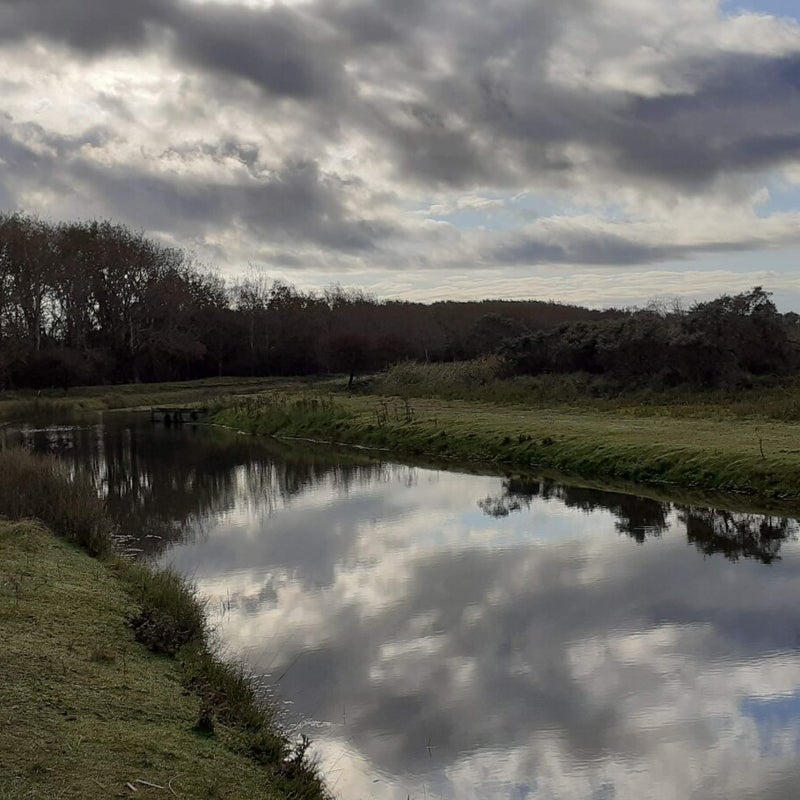 20201018_102843-standard.jpg