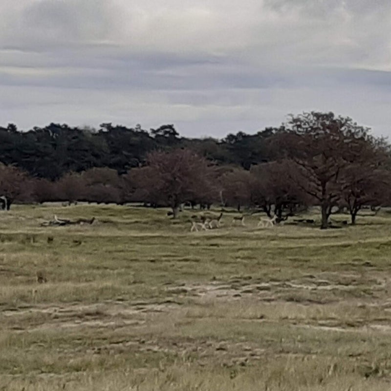 20201018_110000-standard.jpg
