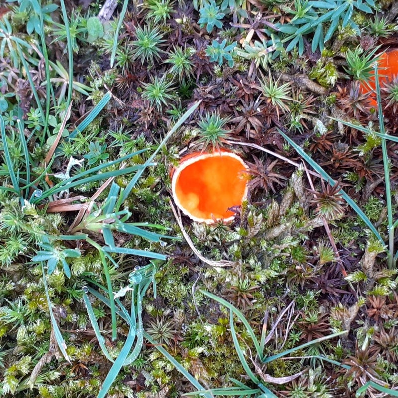 20201018_110035-standard.jpg
