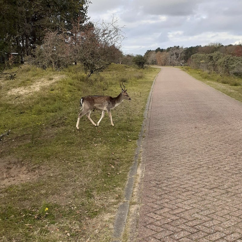 20201018_112346-standard-dheokb.jpg