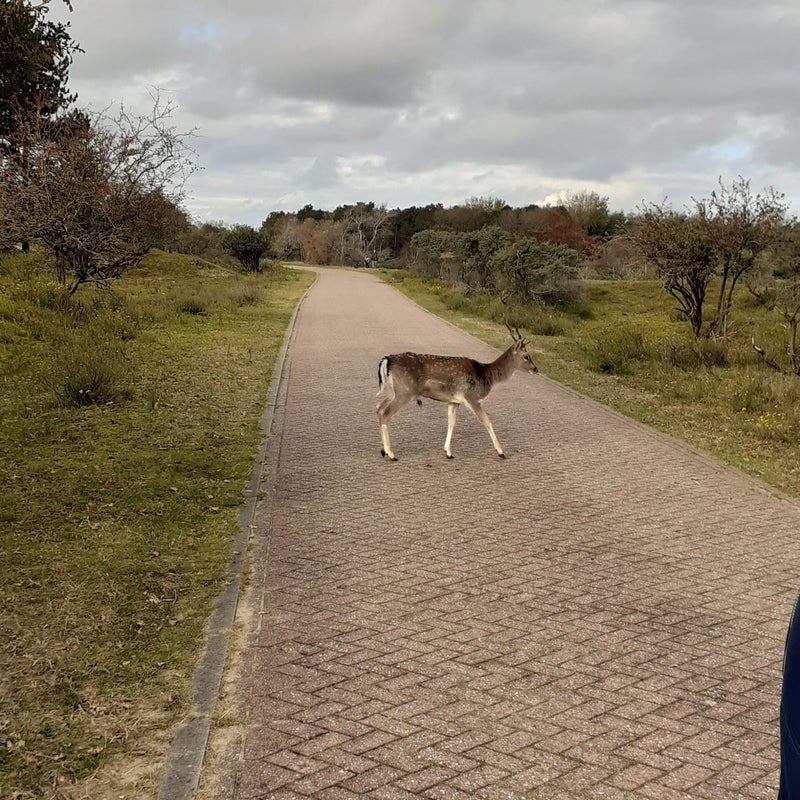 20201018_112349-standard-tpqaq6.jpg