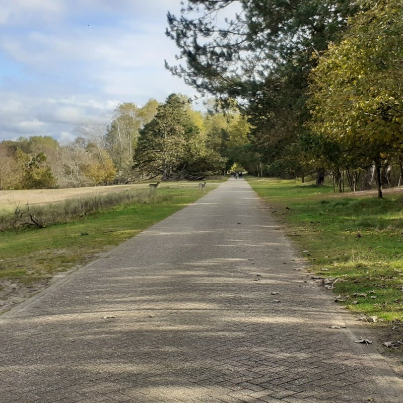 20201018_124825-standard.jpg