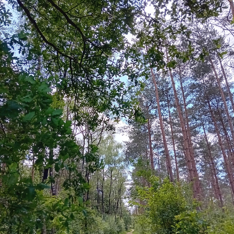20240609_131123-standard.jpg
