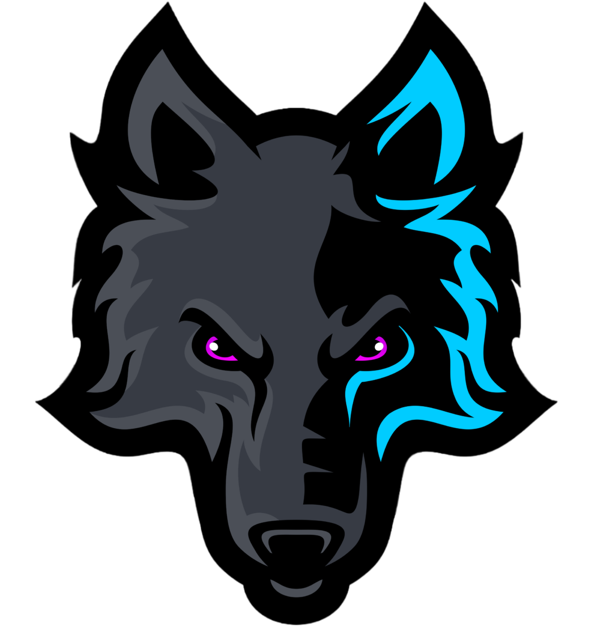 Rocket League Rosters / Teams/Rosters | Silent Wolves Esports