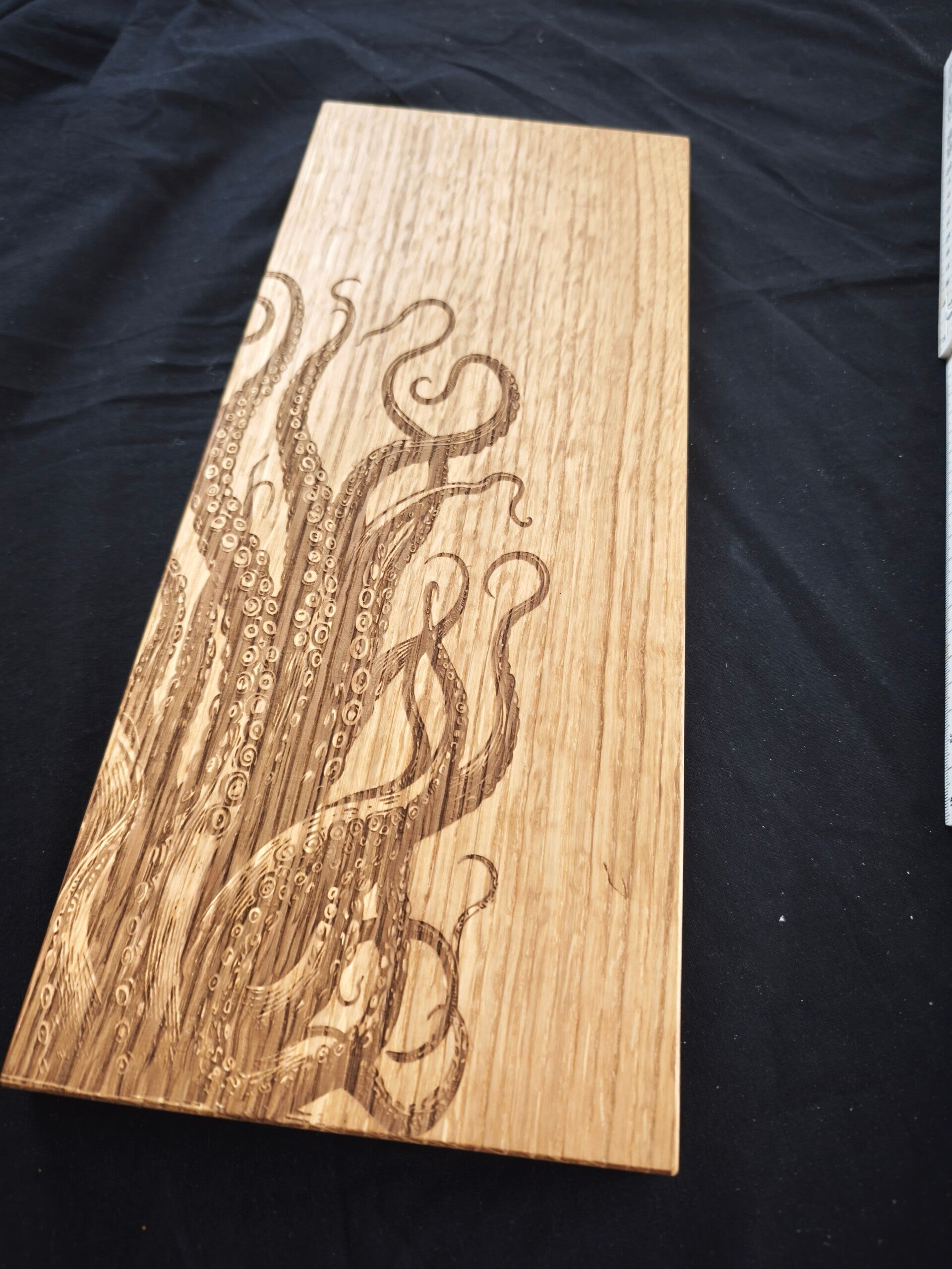 Oktopus Tintenfisch Kraken