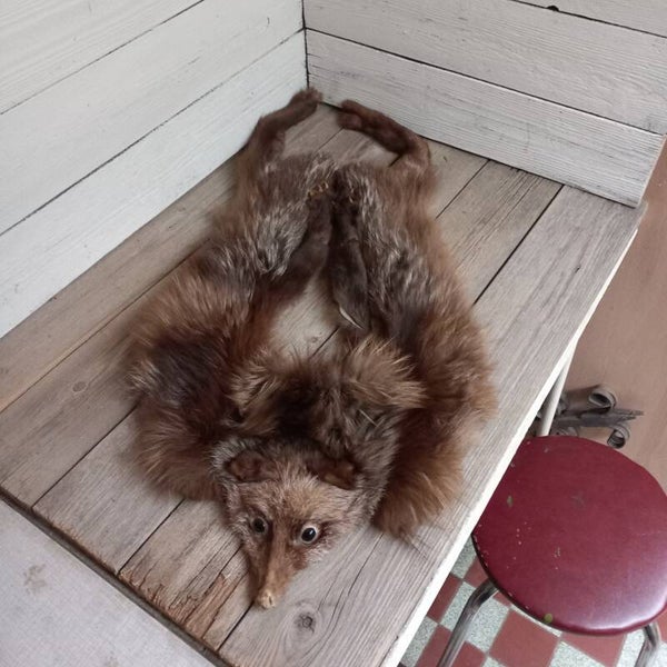 Sjaal bontkraag van nertsen vacht.