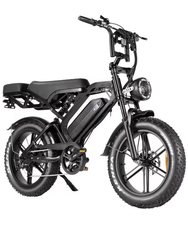 Fatbike Pro V20 — Kracht & Grip