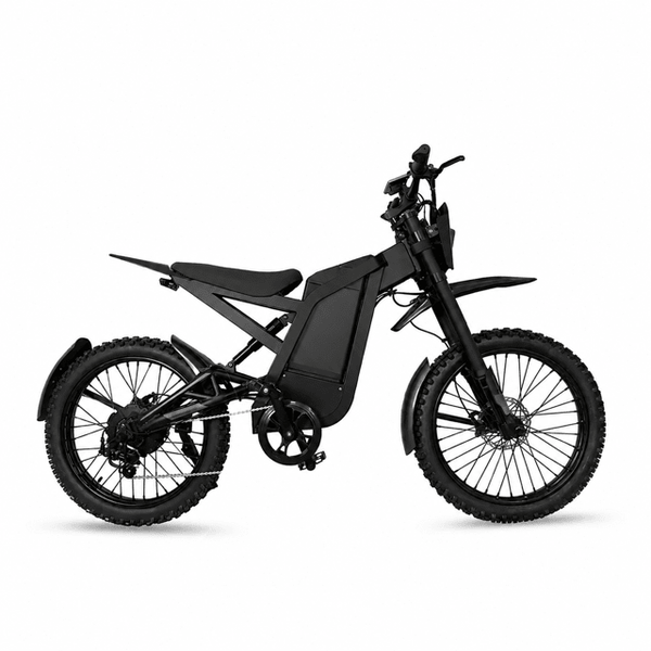 BLACK GT2000 Fatbike | Krachtige E-bike | Rijklaar