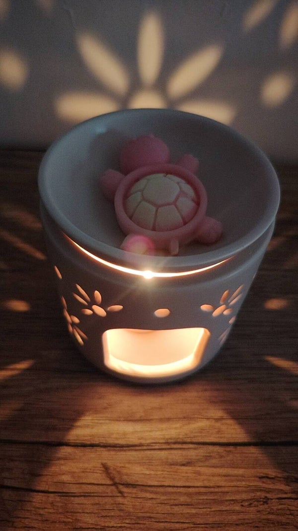 Mes Tortues 🐢, plus haut que les arc-en-ciel 🌈