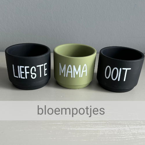 Set bloempotjes met tekst. Bloempotje met naam. Bloempotje met opdruk