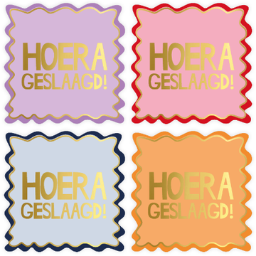 Stickers | Hoera geslaagd (8 stuks)