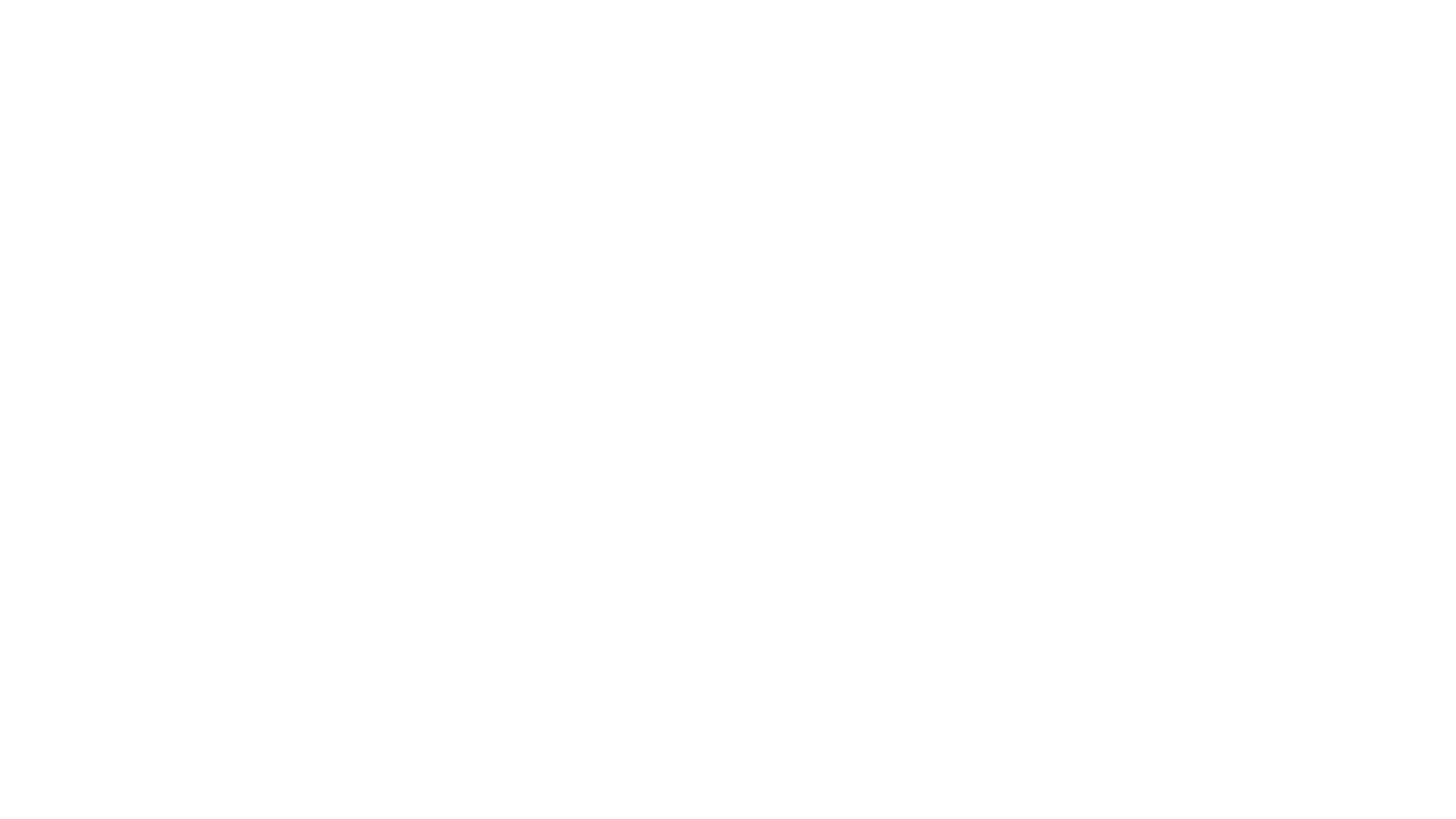 areisha Logo ohne Slogan