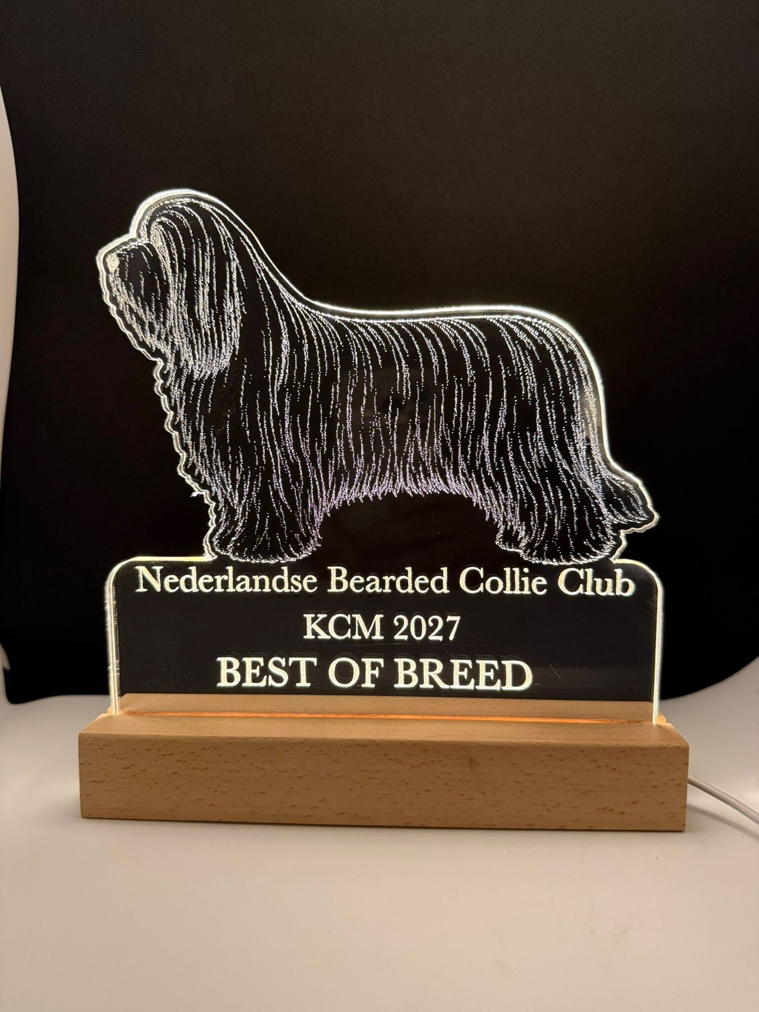 Awardlamp op maat