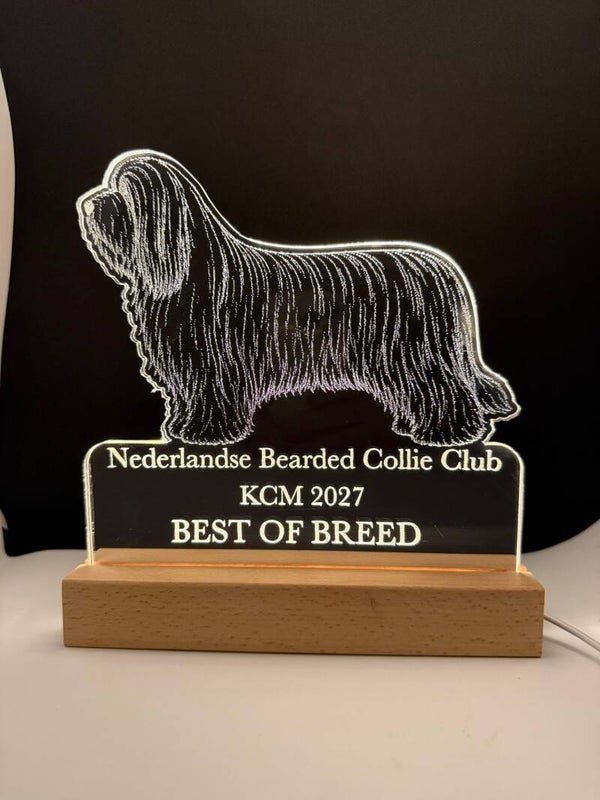 Awardlamp op maat