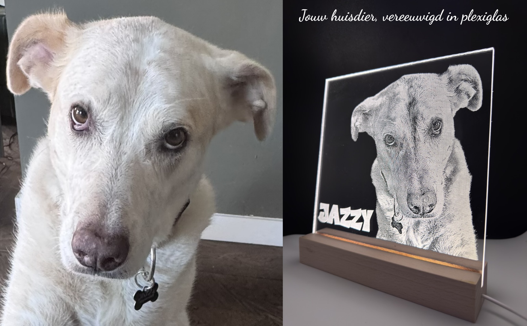 Huisdierenlamp op maat