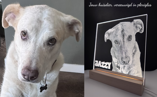 Huisdierenlamp op maat