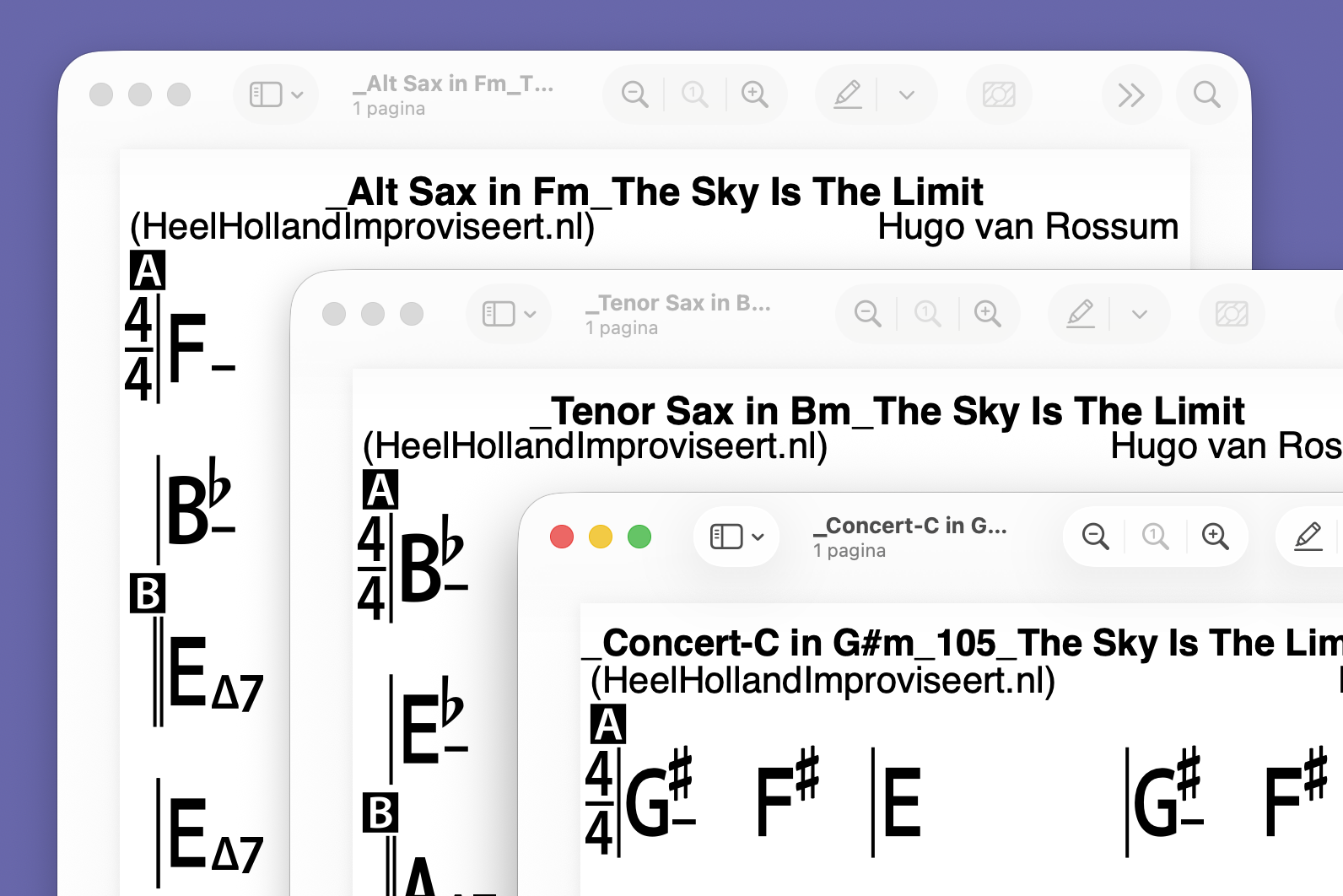 The Sky Is The Limit C-Bb-Eb instrumenten 3pdf's + 26 Oefentracks!