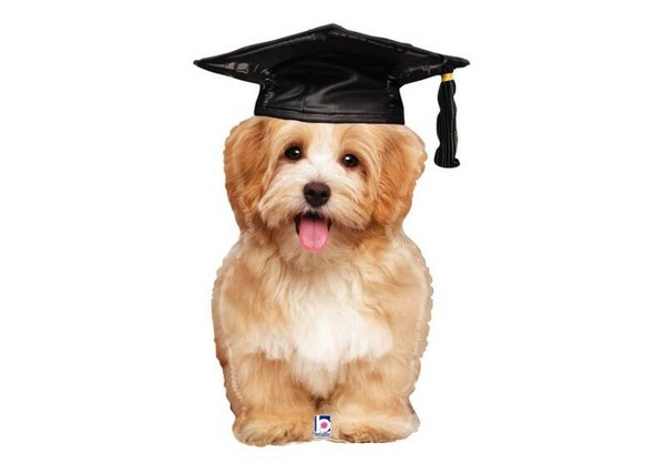 Geslaagd Puppy folie ballon